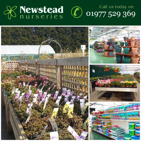 Shop Fittings For Newstead Nurseries