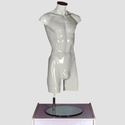 Male Torso Headless Mannequin Gloss White