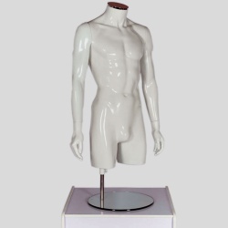 Jessie: Male Mannequin Head – Mannequin Madness