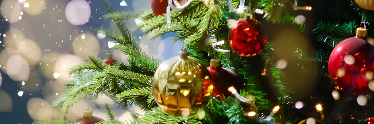 Christmas Opening Hours
